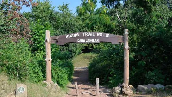 Wooden Hiking Trail No. 5 gateway at the start of a Margalla Hills trail in Islamabad