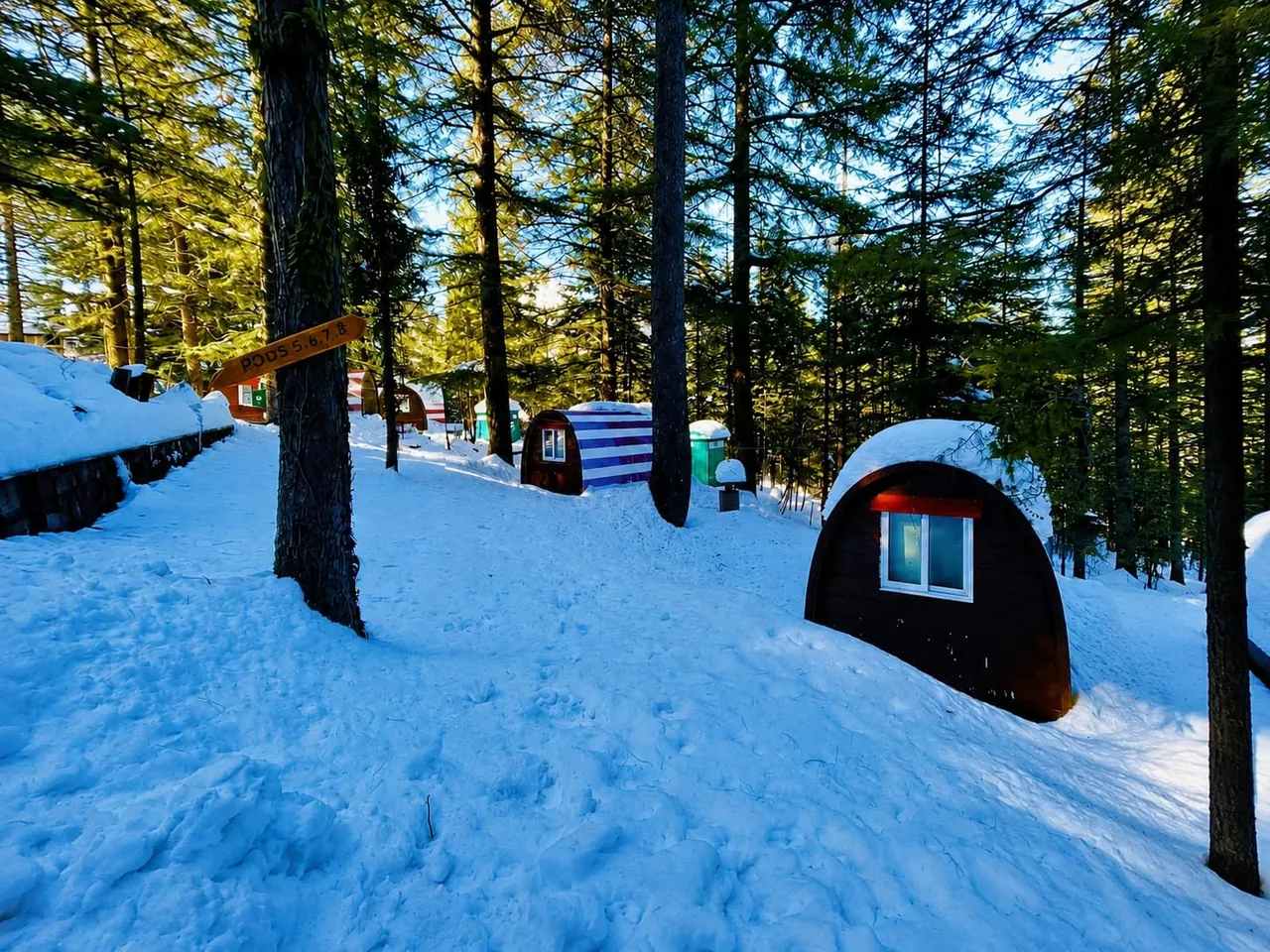 Wooden camping pods in snow among pine trees in the Murree hills